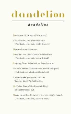 Dandelion Poem